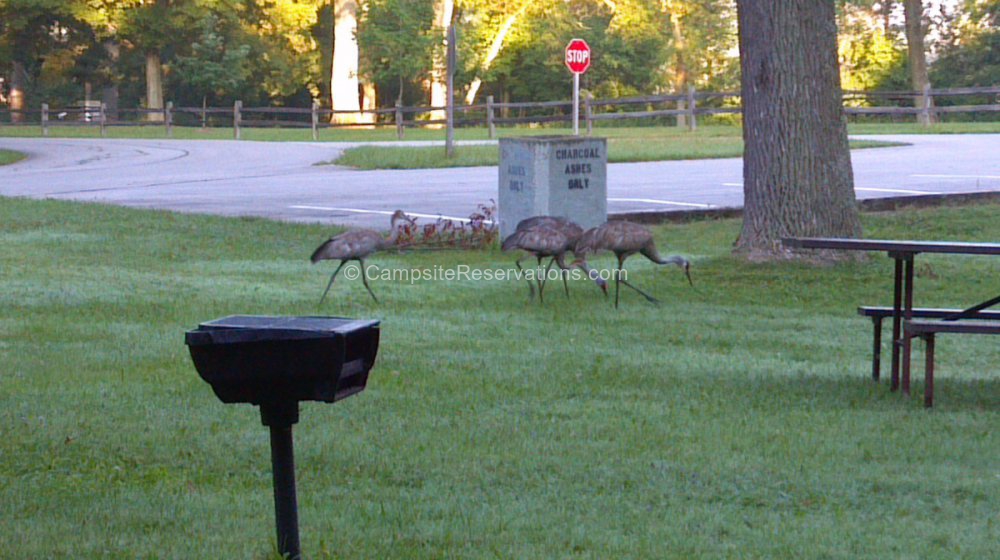 Kettle Moraine State Forest Northern Unit, Wisconsin, United States